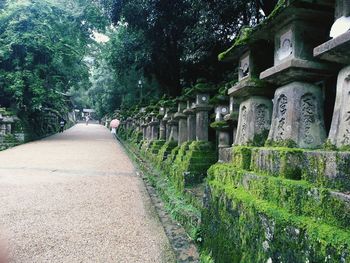 View of trees