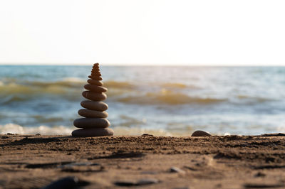 Close-up of seashell at beach