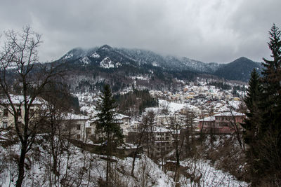 Snow covered trees and buildings against sky