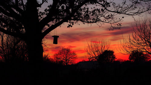 Silhouette of trees at sunset