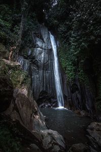 Scenic view of waterfall in forest