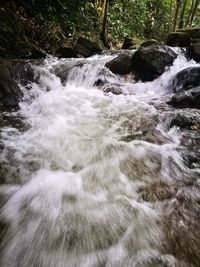 Scenic view of waterfall in forest