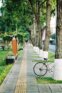 Bicycle perked by tree on footpath