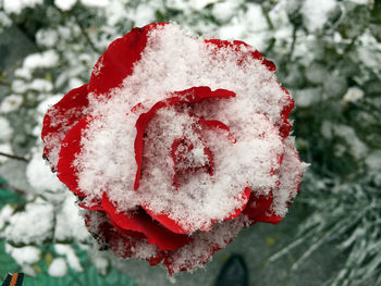 Close-up of red object