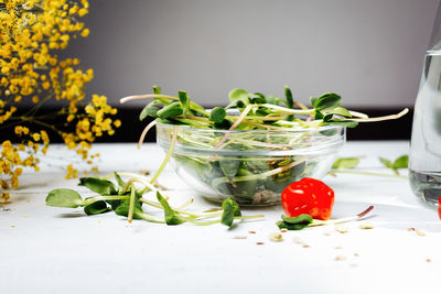 Green sprouts with tomatoes, seeds and drinking water. healthy detox food