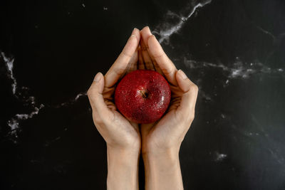 Midsection of woman holding apple