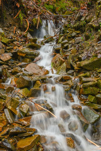 Water flowing in transylvania forests