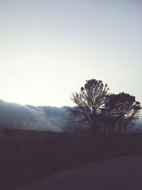 Silhouette trees on landscape against clear sky