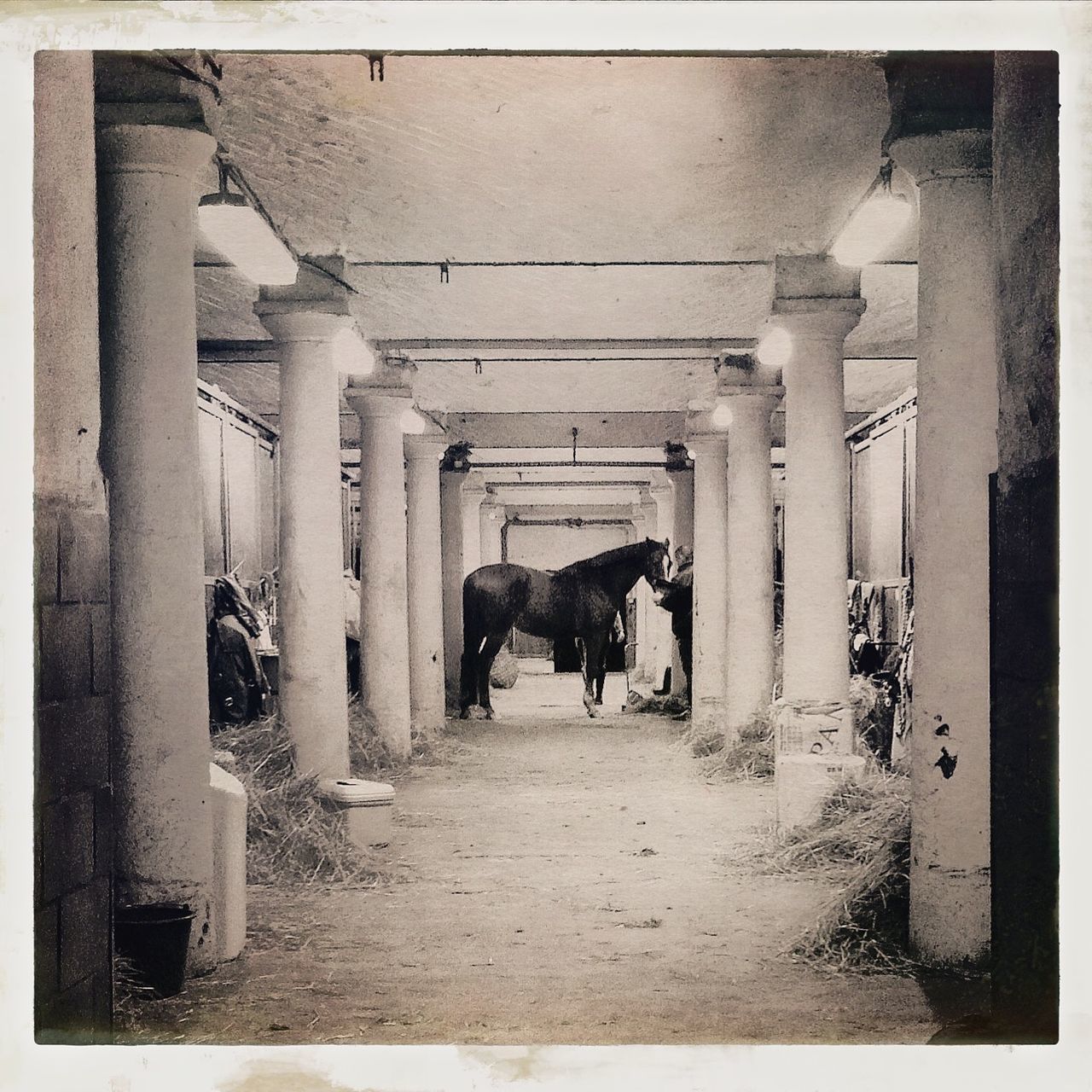 transfer print, architecture, the way forward, built structure, auto post production filter, walking, indoors, men, diminishing perspective, corridor, narrow, building exterior, vanishing point, full length, alley, person, walkway, rear view, day