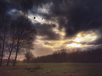 Scenic view of landscape against cloudy sky