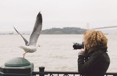 Woman photographing seagull with dslr by river against clear sky