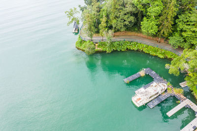 High angle view of tree by sea