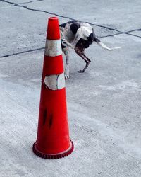 Close-up of red wall