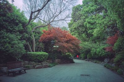 Footpath amidst trees in park during autumn