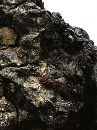 Low angle view of rock formation