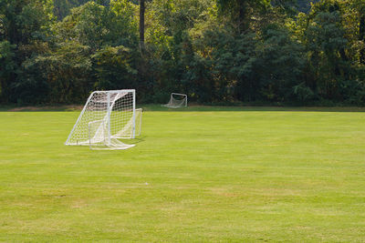 Empty bench on field against trees