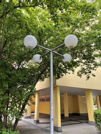 Street light by house and tree