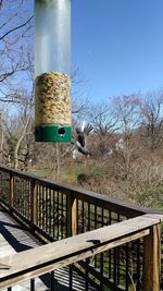 Bird perching on railing against sky