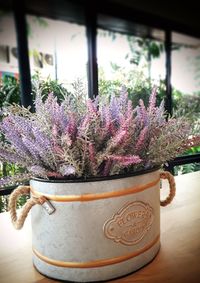 Close-up of potted plant on table