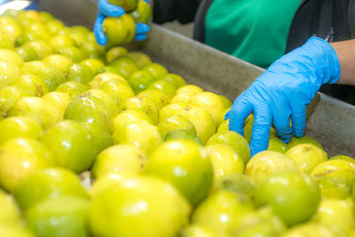 Close-up of green fruits for sale in market