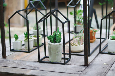 Potted plants on table in yard