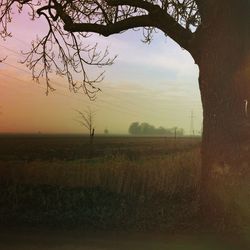 Scenic view of field against sky at sunset