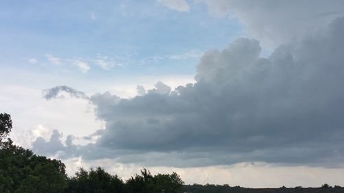 Low angle view of trees against cloudy sky