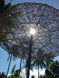 Low angle view of trees against sky