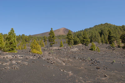 Scenic view of land against clear blue sky