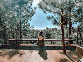 Rear view of woman sitting on bench against trees