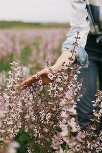 Midsection of woman holding flowers