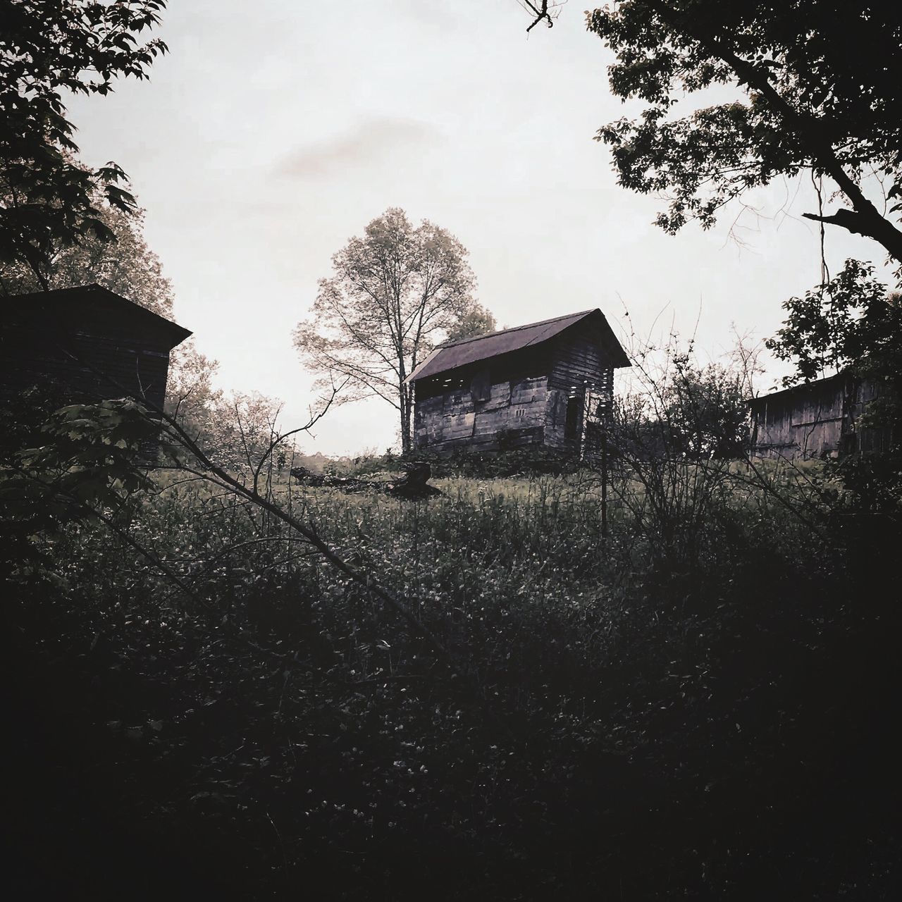 HOUSE AMIDST TREES AGAINST SKY