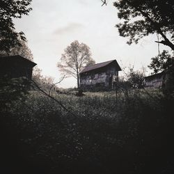 House by trees against sky