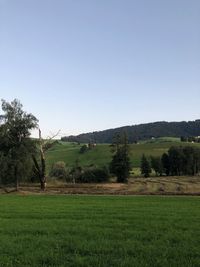 Scenic view of field against clear sky