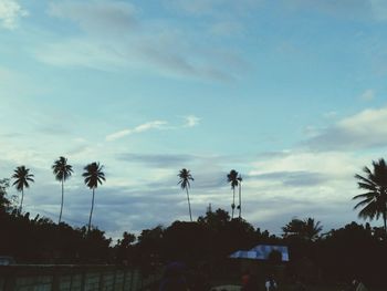 Low angle view of silhouette trees against sky