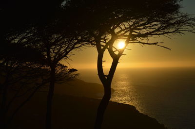 Silhouette tree against sea during sunset