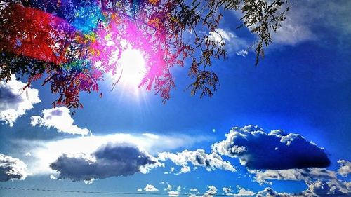 Low angle view of trees against cloudy sky