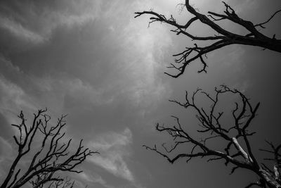 Low angle view of silhouette bare tree against sky