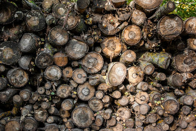 Full frame shot of logs in forest