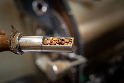 Coffee beans at different stages