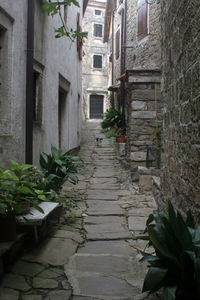 Narrow alley amidst buildings in city