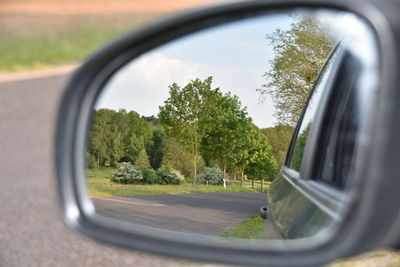 Reflection of trees on side-view mirror of car