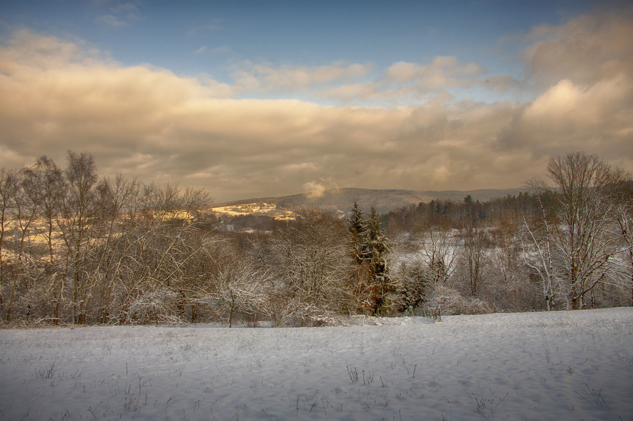 SCENIC VIEW OF SNOWY FIELD AGAINST SKY