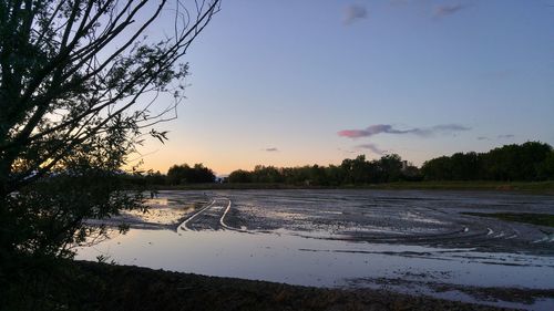 Reflection of trees in lake