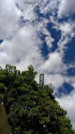 Low angle view of trees against sky