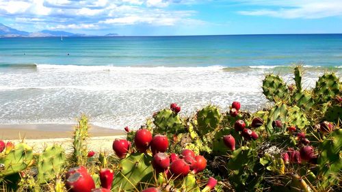 Scenic view of sea against cloudy sky