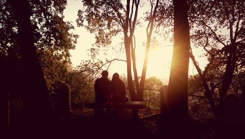 Silhouette of trees at sunset