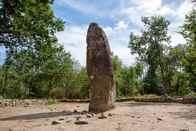 Pre celtic standing granite stones or menhirs in carnac