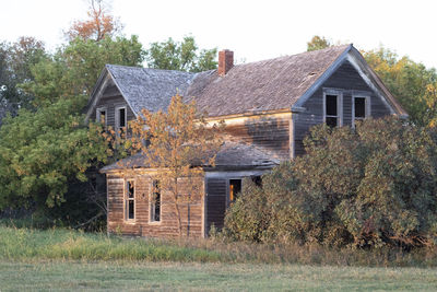 House and trees on field against sky