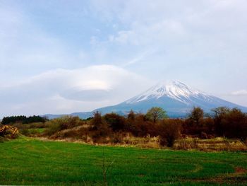 Scenic view of field against sky